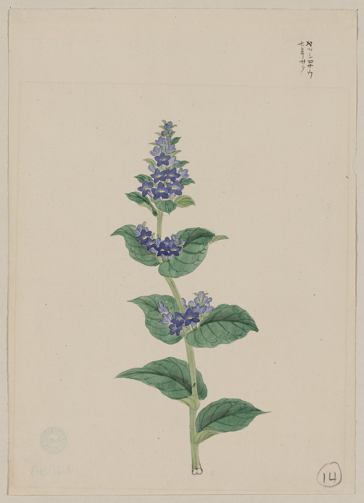 [Japanese drawing], 1750 — historic drawing
