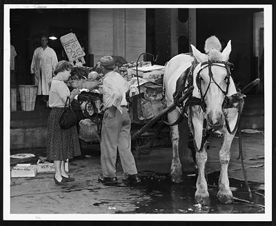 Produce vendor with horse-drawn cart and fruit stand