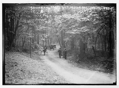 Invited guests on way to Roosevelt House, on foot and in carriage