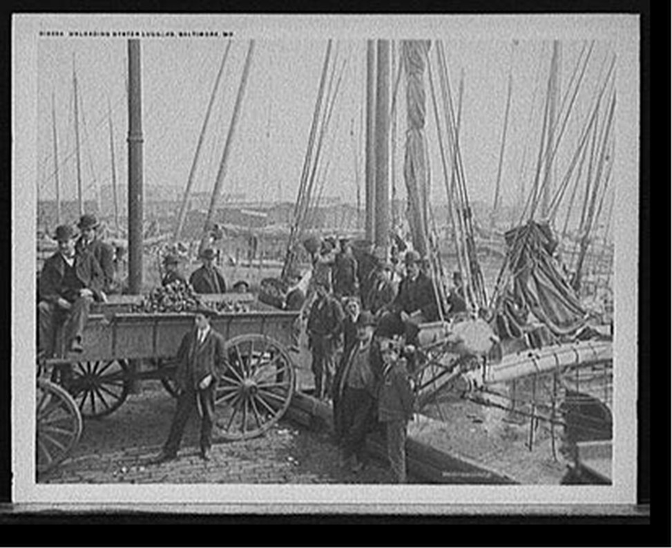 Unloading oyster luggers, Baltimore, Md., [1905?] — historic photograph