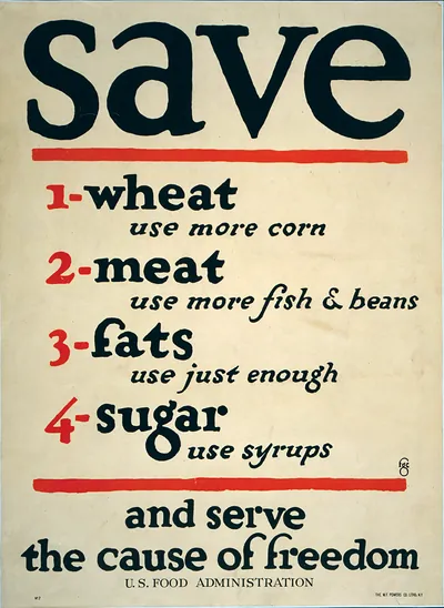 Save [...] and serve the cause of freedom / fgc ; The W. F. Powers Co. Litho., N.Y.
