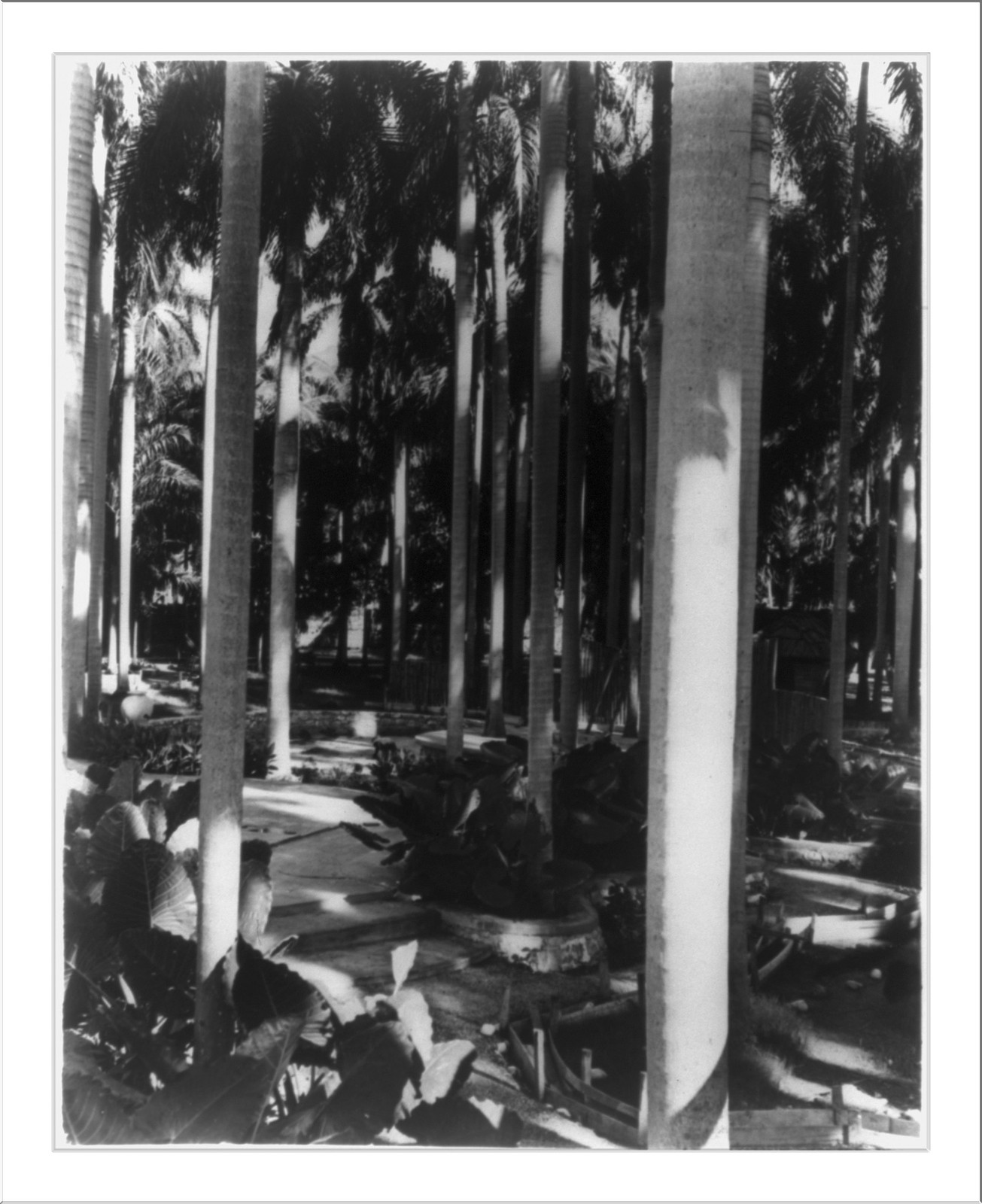 Palm Park, on exposition ground in Port-au-Prince, Haiti, [ca. 1960] — historic photograph