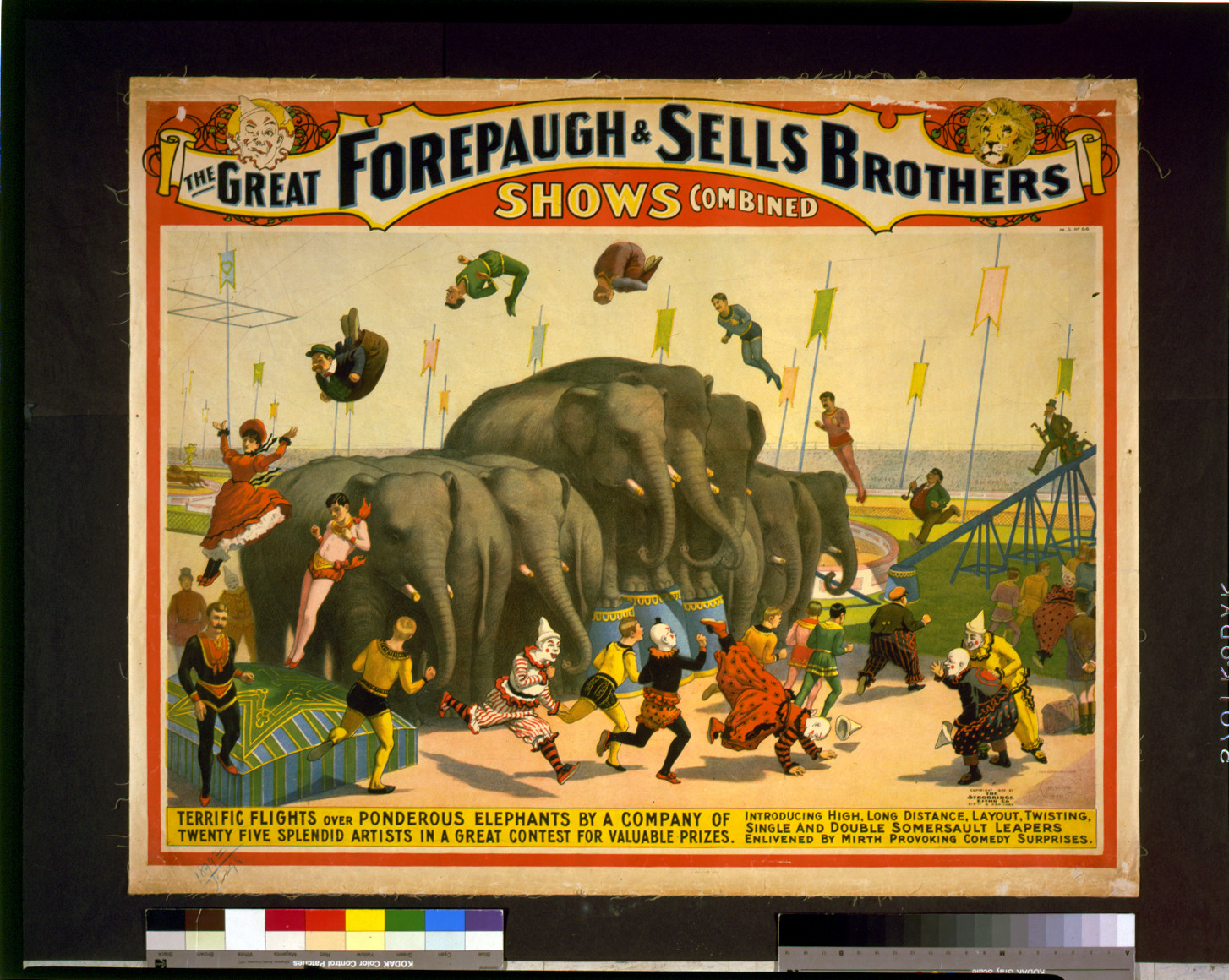 The great Forepaugh & Sells Brothers shows combined--Terrific flights over ponderous elephants by a company of twenty five splendid artists in a great contest for valuable prizes, c1899. — vintage poster