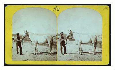 [Man and a horse standing.]
