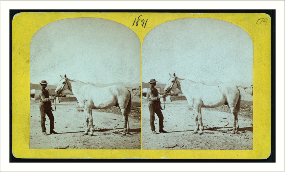 [Man and a horse standing.], 1871 — historic photograph