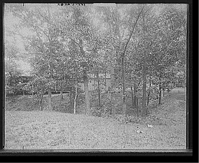 Picnic grounds at Lemont, Ill's.