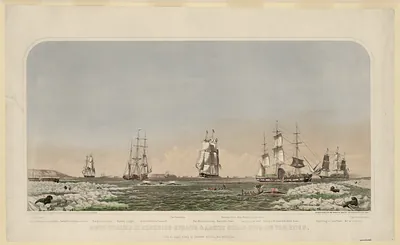 Right whaling in Behering Straits & Arctic Ocean with its varieties