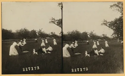 Group playing baseball in an open field with trees