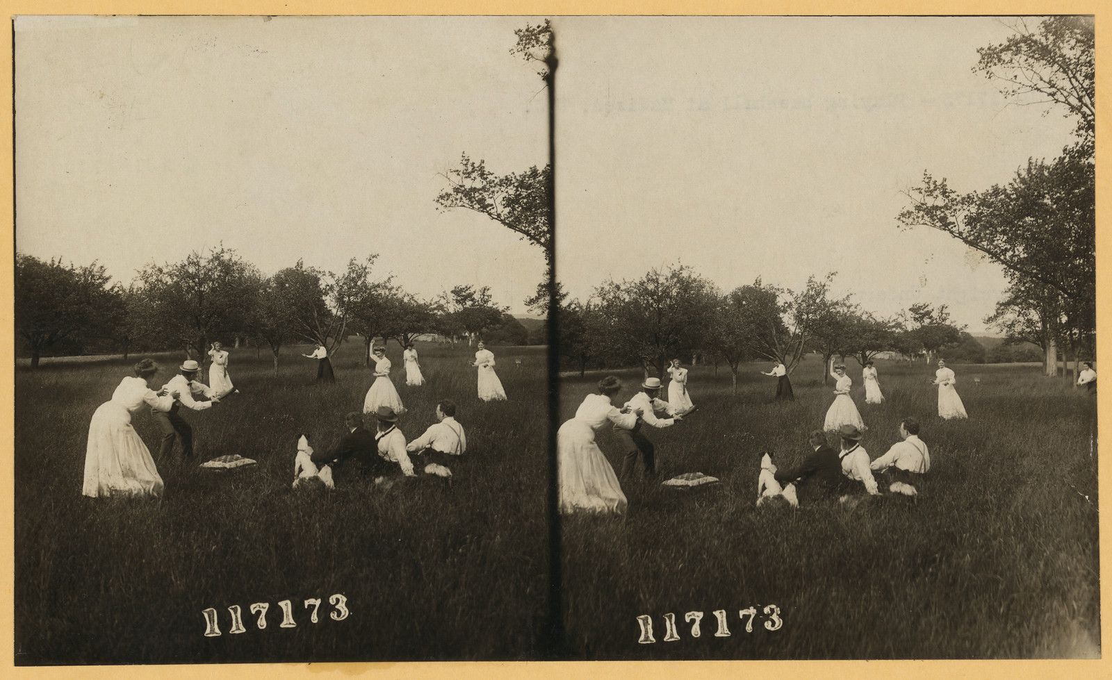 Group playing baseball in an open field with trees — historic image