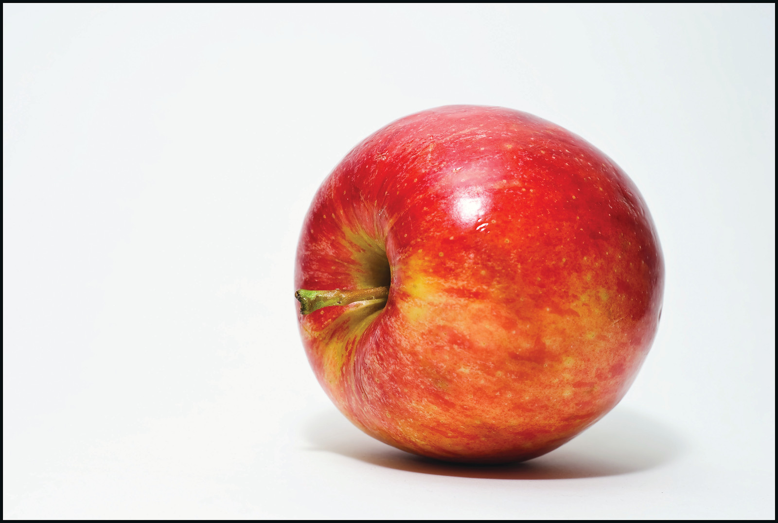 Single red apple on white background — historic image