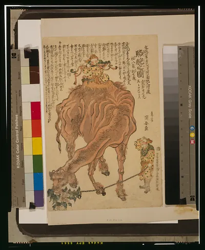 Rakuda no zu
