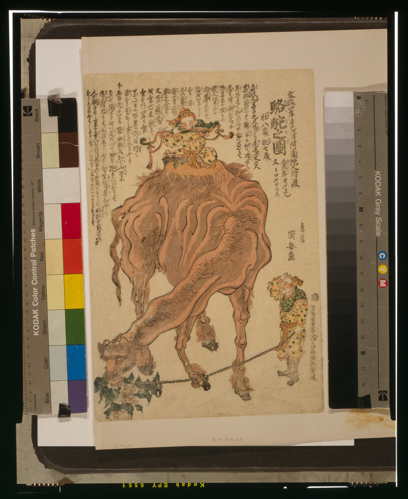 Rakuda no zu, 1824 — historic print