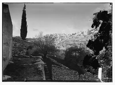 Hillside town seen over stone walls, cypress tree, seated man