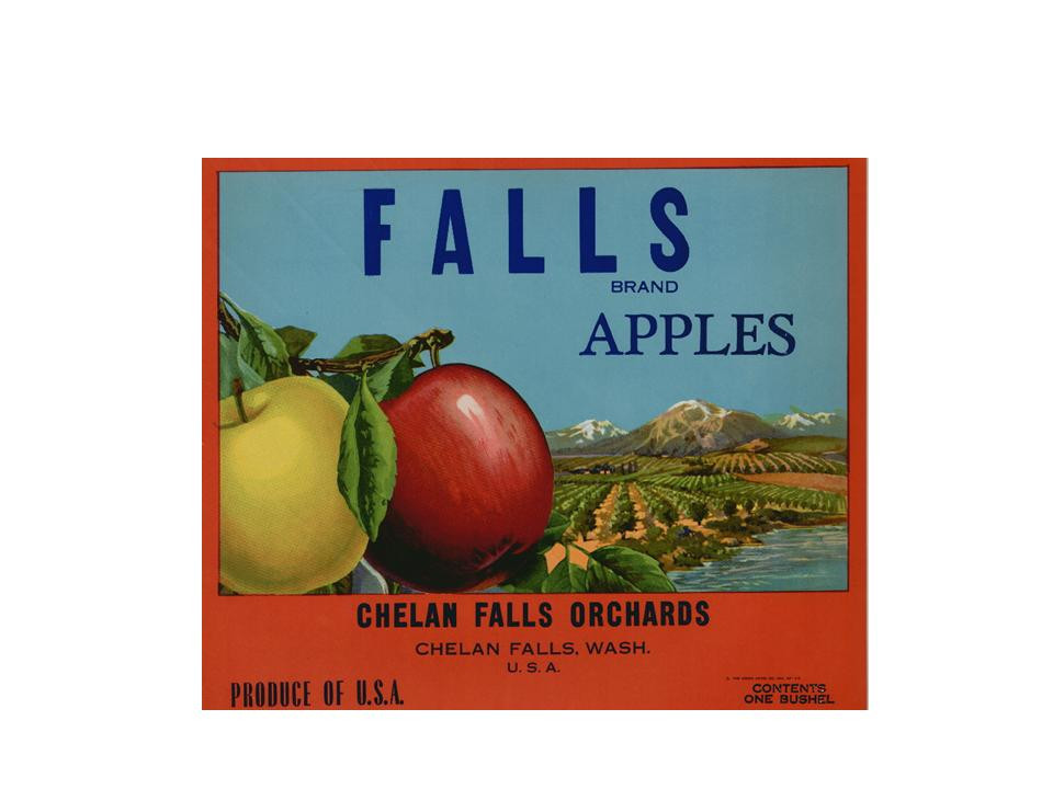 Falls Brand Apples crate label, Chelan Falls Orchards — historic image