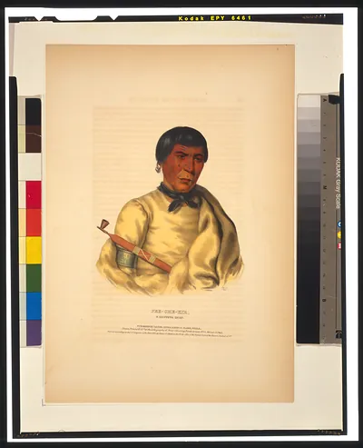 Pee-Che-Kir, a Chippewa chief / H.D. ; drawn, printed & coloured at the Lithographic & Print Colouring Establishment.