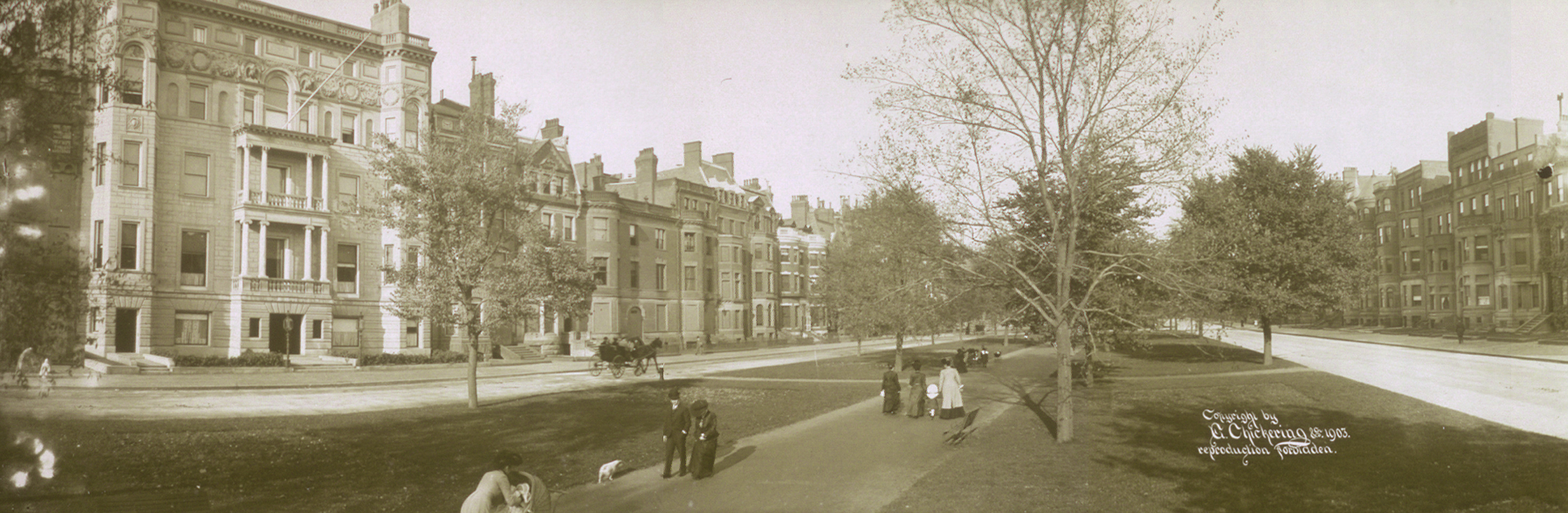 Comm Ave Boston, Massachusetts, 1903, 1903 — historic image