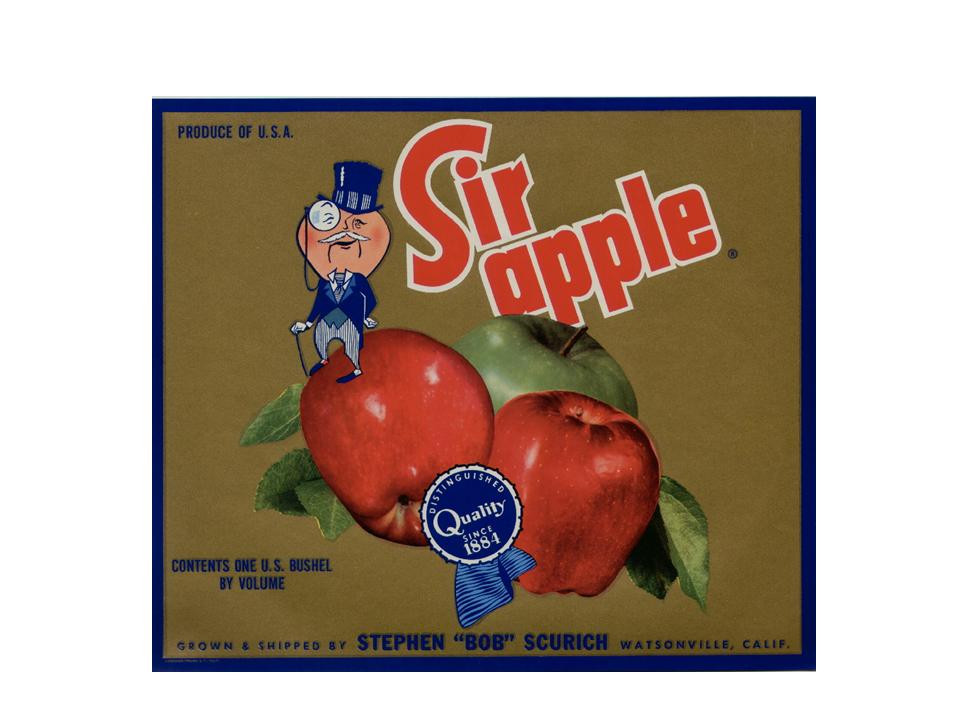Sir Apple crate label with red and green apples — historic image