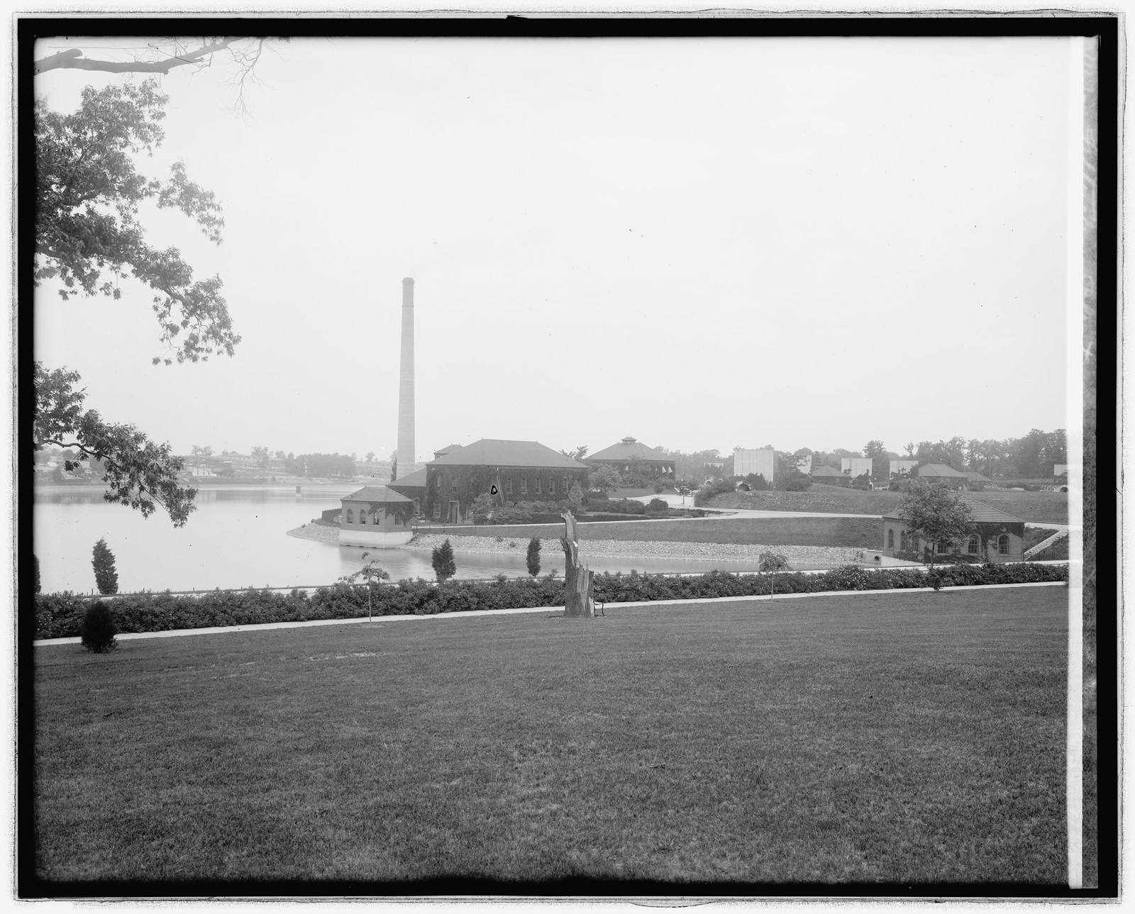 Feltualeir[?] plant, [between 1910 and 1926] — historic photograph