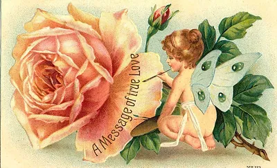 Winged cherub painting 'A Message of true Love' beside a pink rose