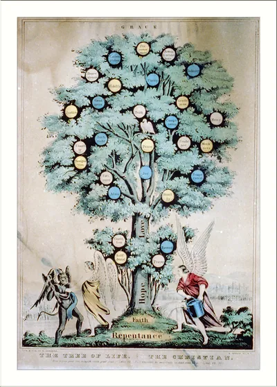 The tree of life. the Christian