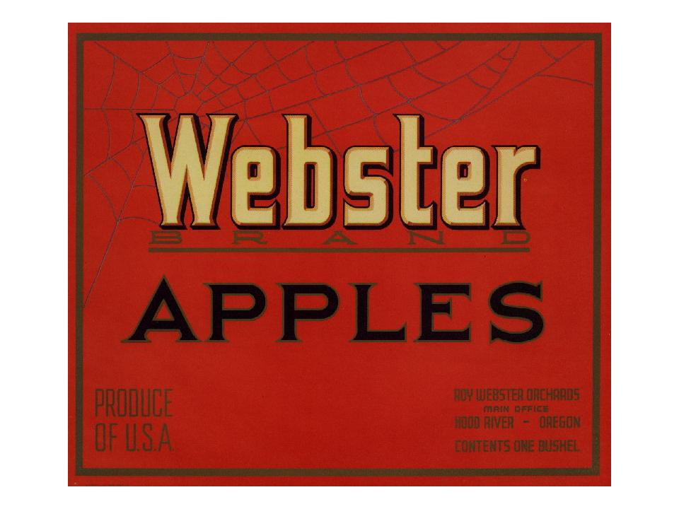 Webster Brand Apples crate label, Hood River, Oregon — historic image