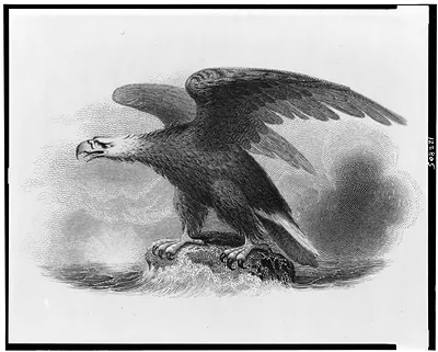 [Bank note vignette showing eagle over sea]
