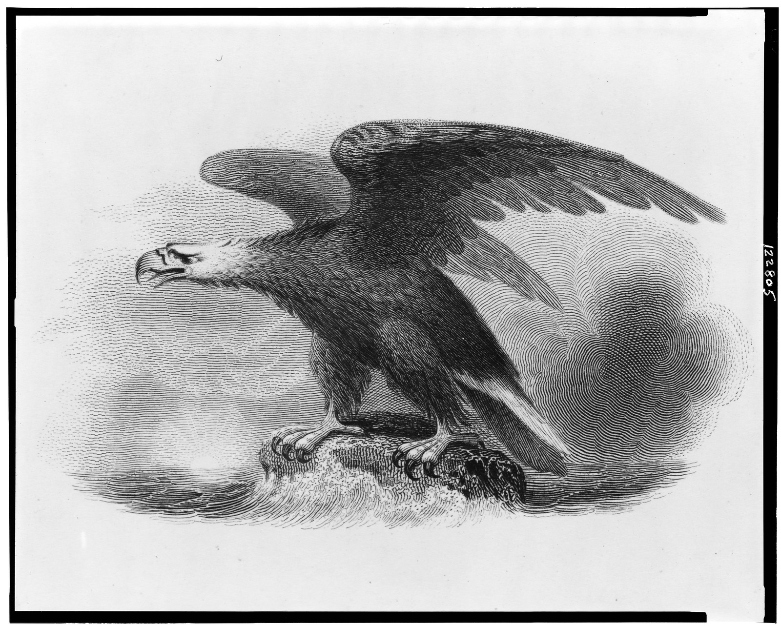 [Bank note vignette showing eagle over sea], [between 1850 and 1869(?)] — antique engraving