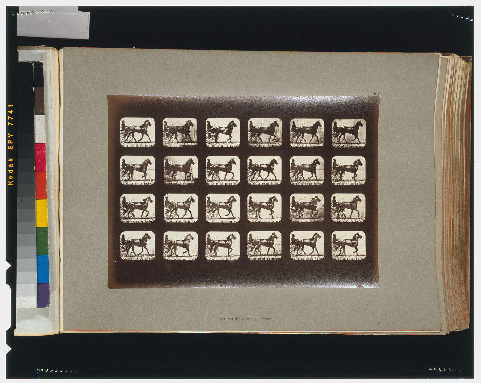Horses. Trotting, [San Francisco] : Muybridge, c1881. — historic photograph