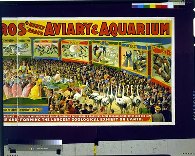 Circus poster: Newly Added Aviary and Aquarium
