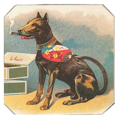 Dog smoking a cigar beside cigar boxes
