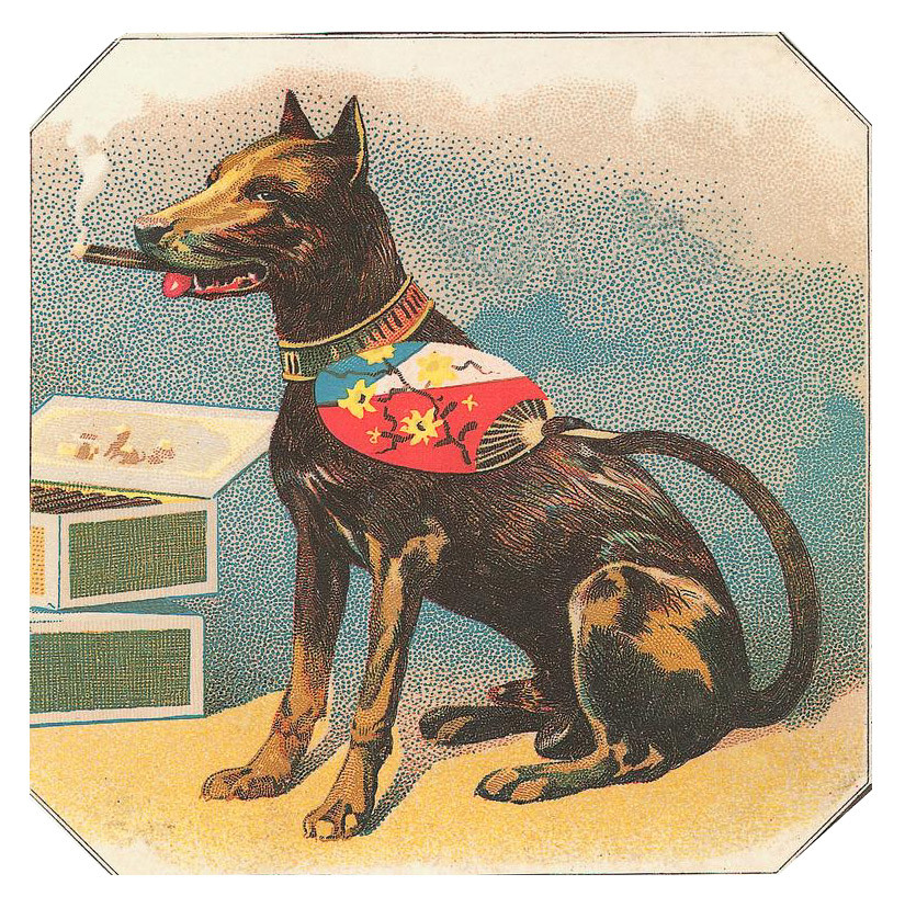 Dog smoking a cigar beside cigar boxes — historic image