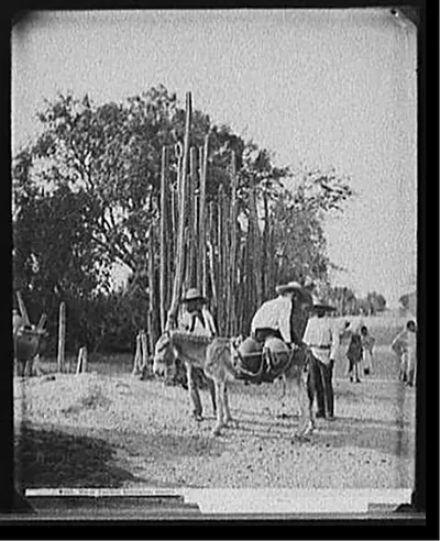 Water carriers, Salamanca, Mexico