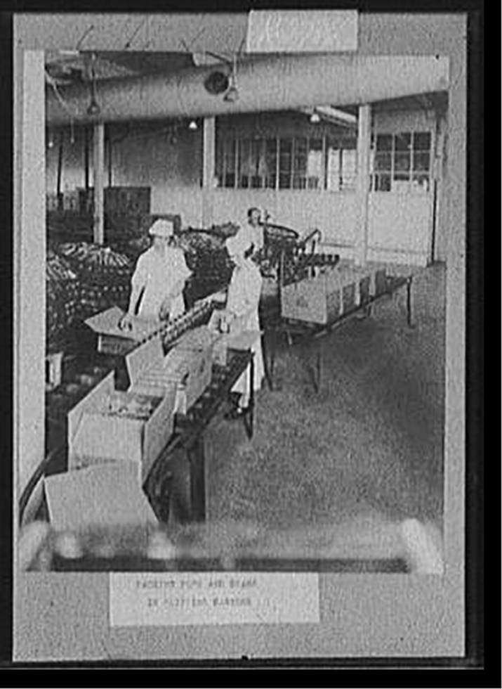 Packing pork and beans in shipping cartons, [between 1915 and 1925] — historic photograph