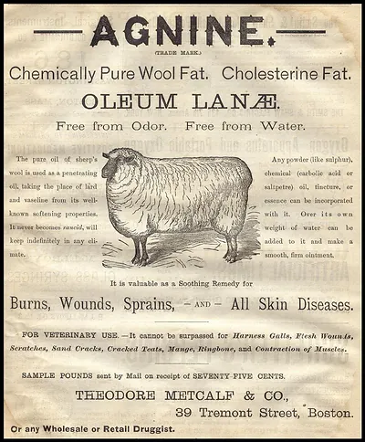 Agnine Oleum Lanae advertisement with sheep illustration, Theodore Metcalf & Co.