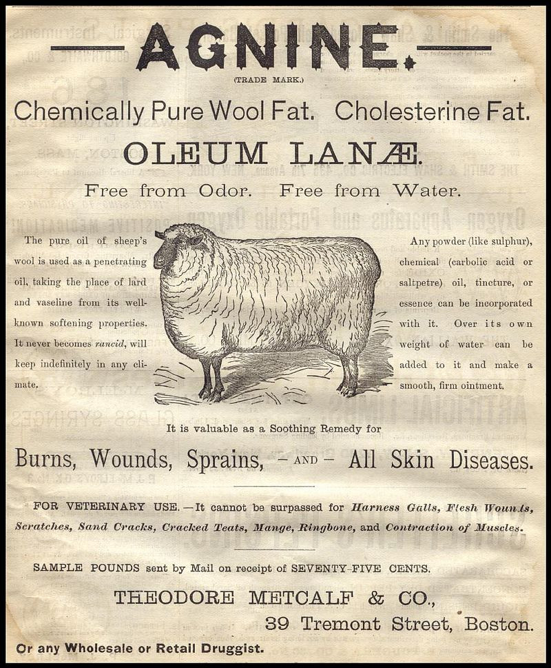 Agnine Oleum Lanae advertisement with sheep illustration, Theodore Metcalf & Co. — historic image