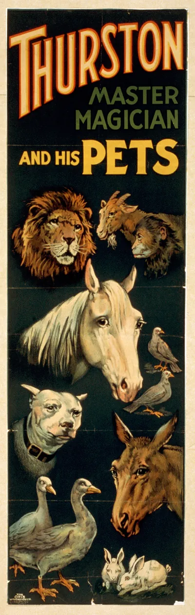 Thurston Master Magician and His Pets poster