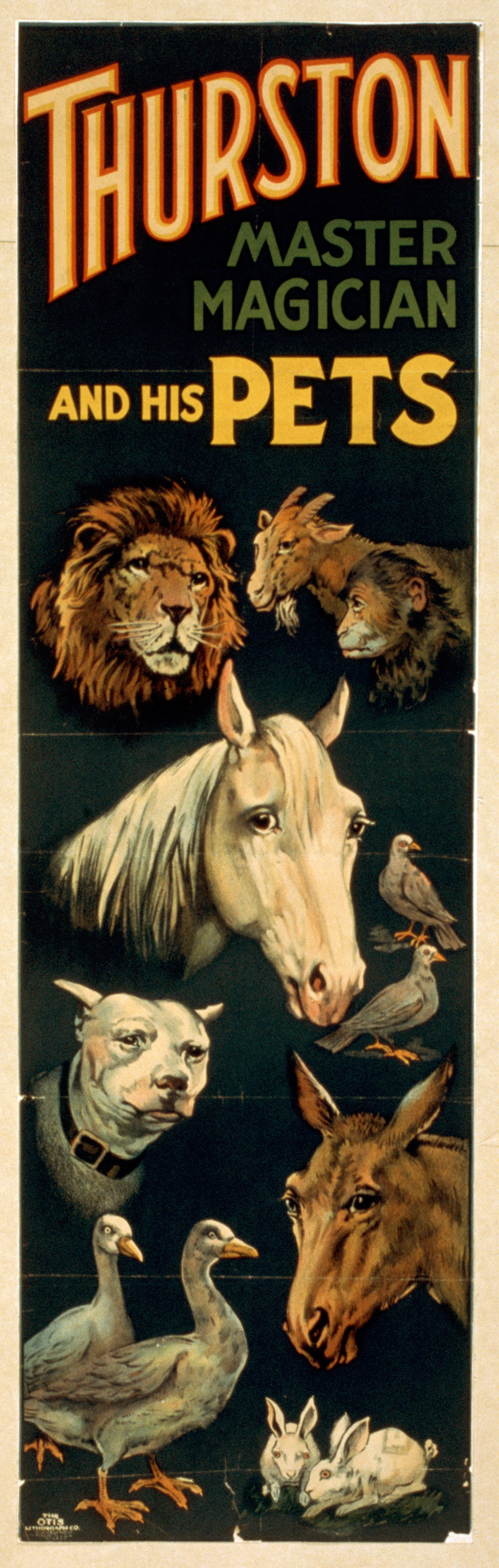 Thurston Master Magician and His Pets poster — vintage poster