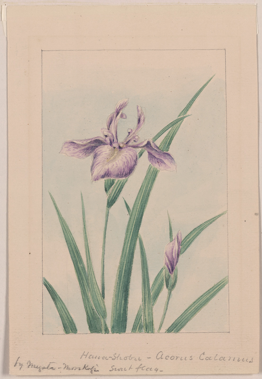 [Japanese drawing], 1750 — historic drawing