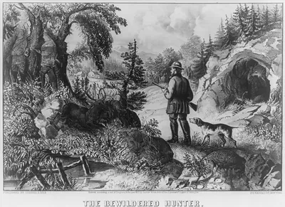The bewildered hunter: Puzzle picture""