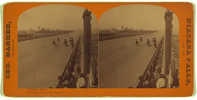 The horse race