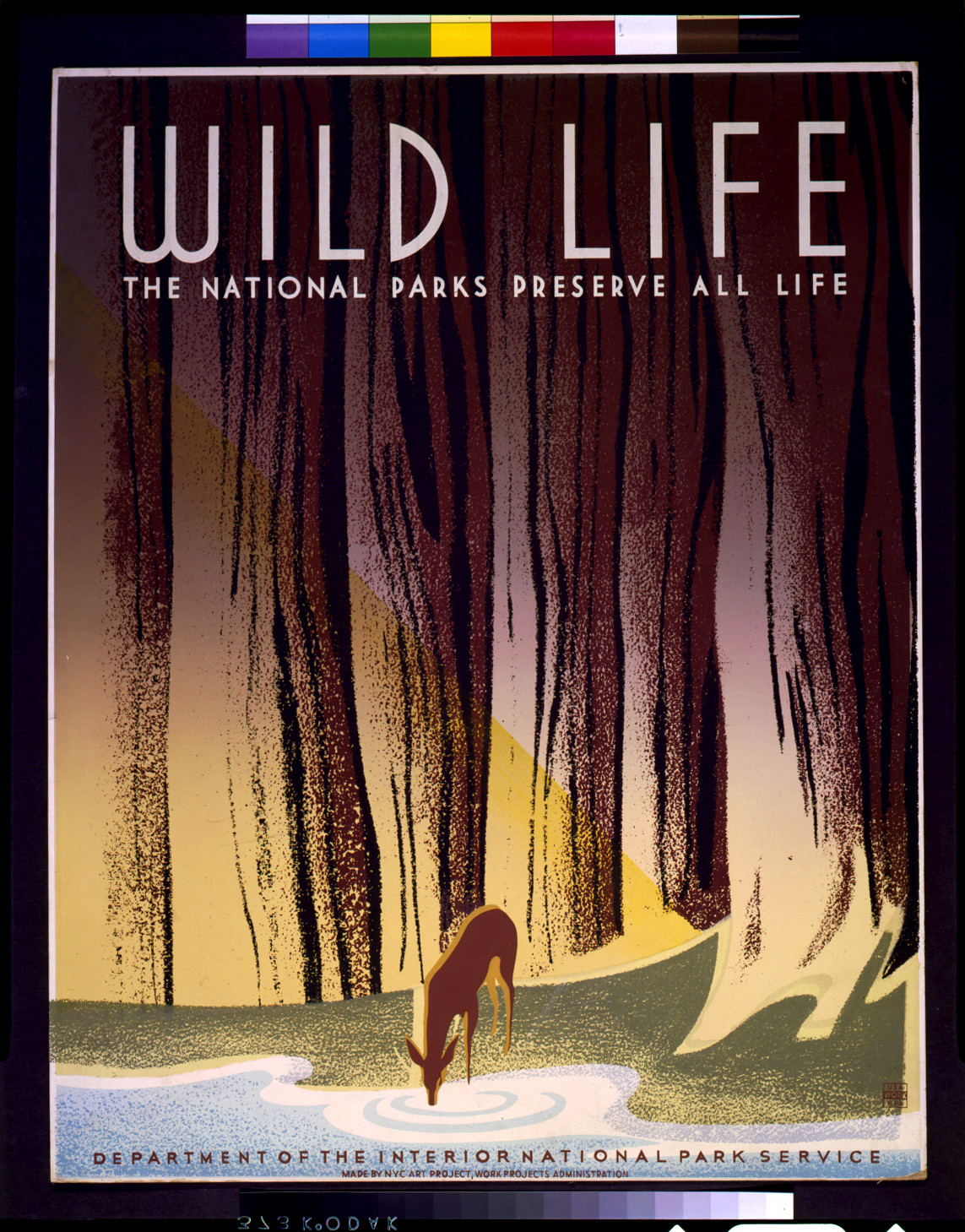 Wild life The national parks preserve all life., 1936 — vintage poster