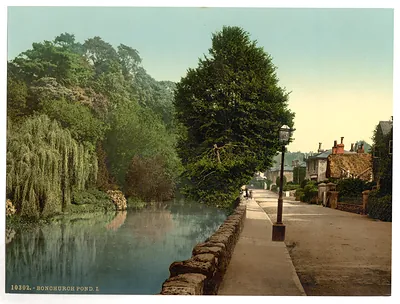Bonchurch Pond I. Isle of Wight England