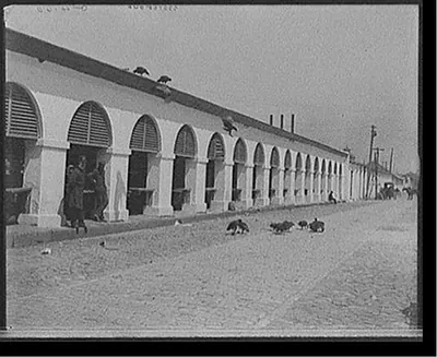 [Central market & buzzards, Charleston, S.C.]