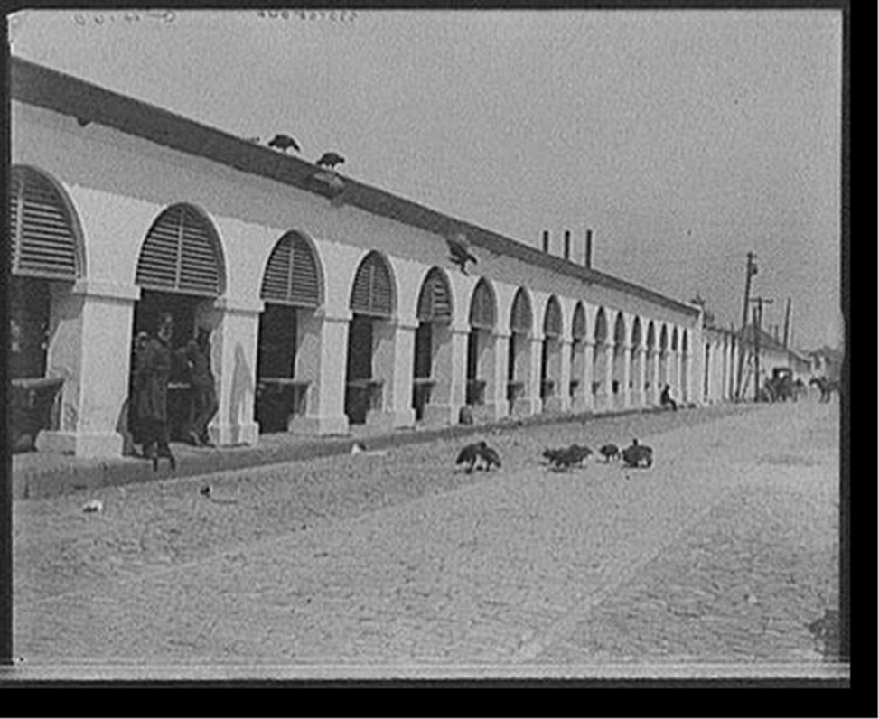 [Central market & buzzards, Charleston, S.C.], [between 1900 and 1910] — historic photograph