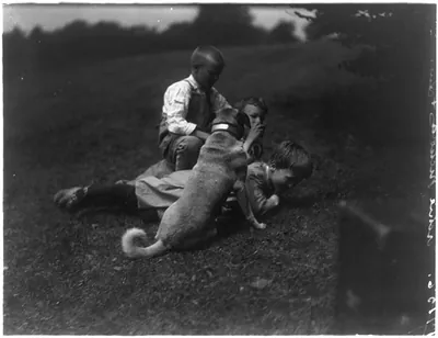 Theodore Roosevelt's children and home: [Nicholas, Archie, Quentin and the dog]