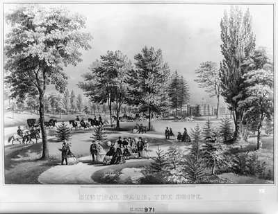 Central Park, the drive