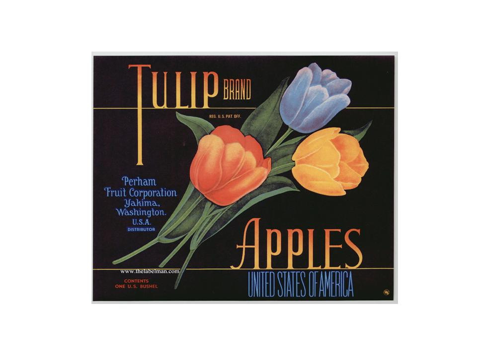 Tulip Brand Apples crate label with tulips — historic image