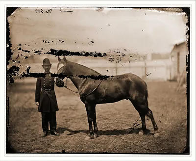 Officer with horse