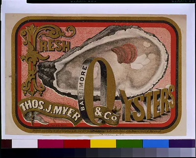 Fresh oysters--Thos. J. Myer & Co., Baltimore / Lith. by A. Hoen & Co., Balto.