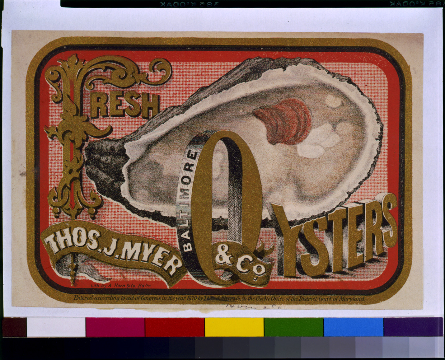 Fresh oysters--Thos. J. Myer & Co., Baltimore / Lith. by A. Hoen & Co., Balto., 1870 — historic image